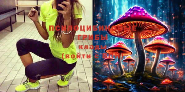 а пвп мука Богданович