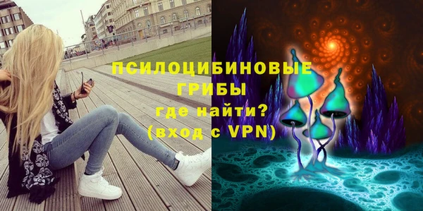 прущая мука Богородицк