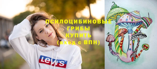прущая мука Богородск